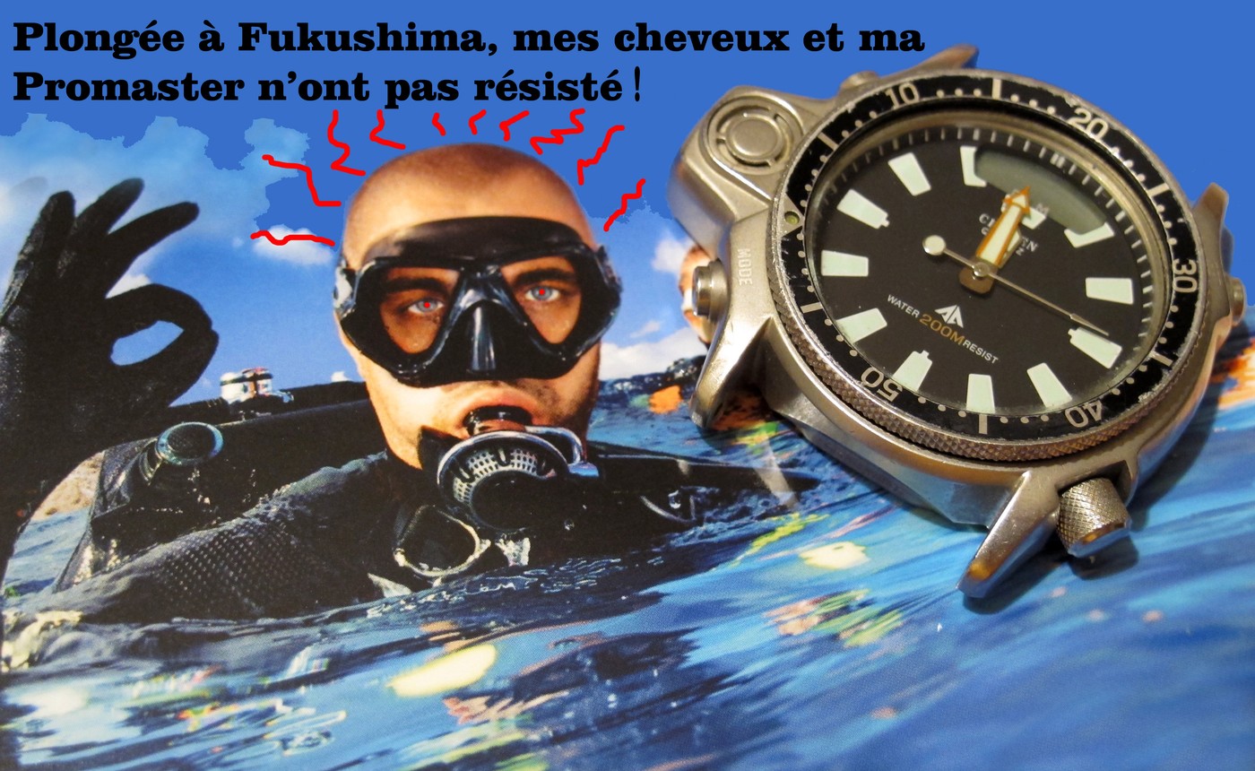 citizen - Oû réviser une Citizen Aqualand Diver Promaster JP2000-08E JP2000 ? IMG_0966web_g7g69952